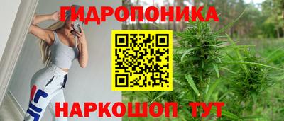 гидра Чапаевск