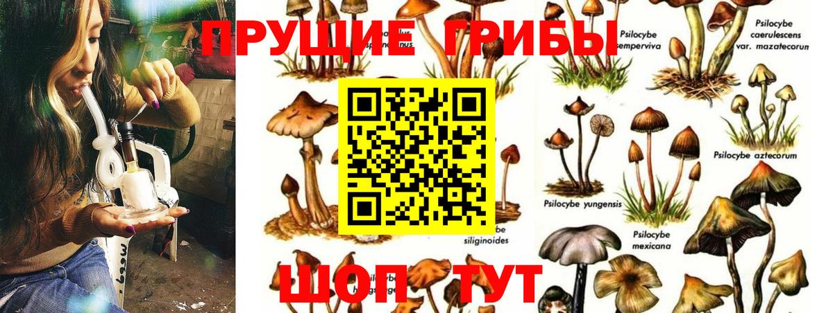 Галлюциногенные грибы мицелий  купить закладку  Артём  Вход с VPN  Псилоцибиновые грибы Magic Shrooms 
